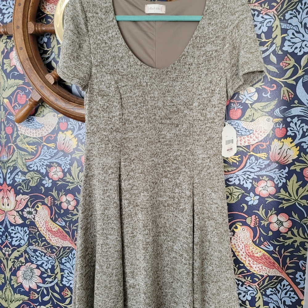 Altar'd State Gray Knit Dress